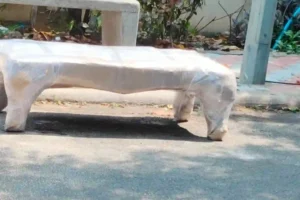 Best Packers and Movers in Vizag