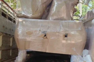 Best Packers and Movers in Vizag