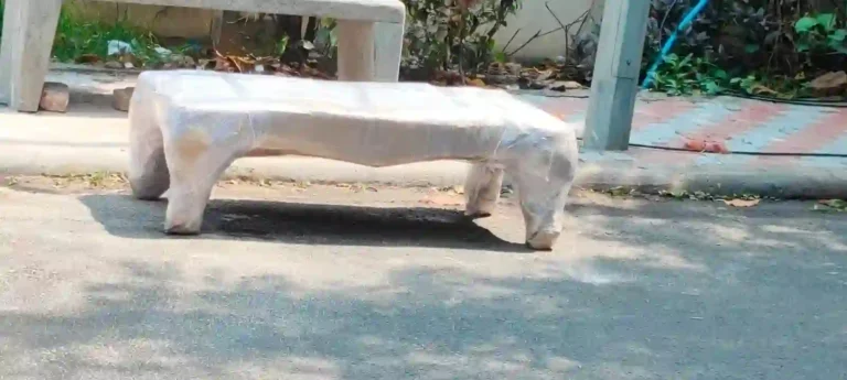 Looking for Furniture Shifting Services in Vizag?